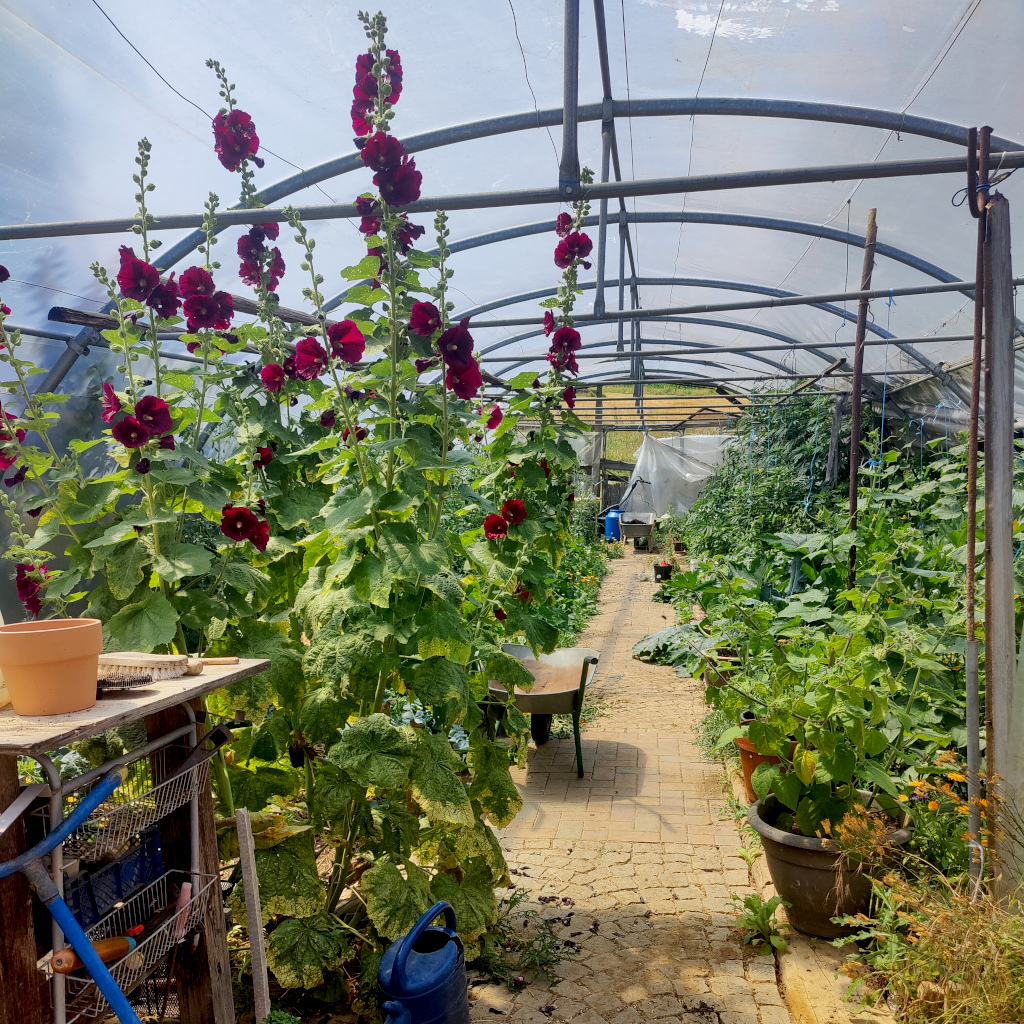 Soziale Landwirtschaft - Auszeithof