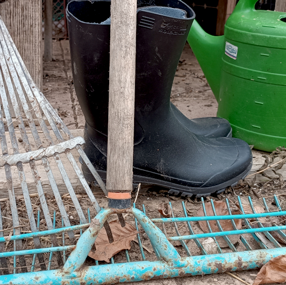 Besuch-Stunde - Entdecke die Welt unserer Tiere